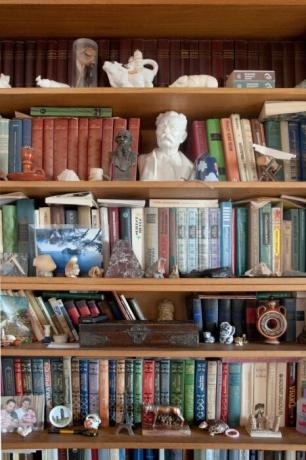 Libreria con numerose statue.