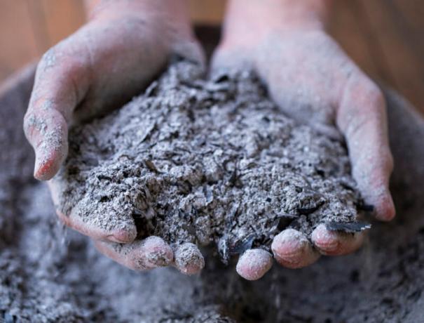 Fertilizzante per piante - cosa scegliere e come nutrire le piante