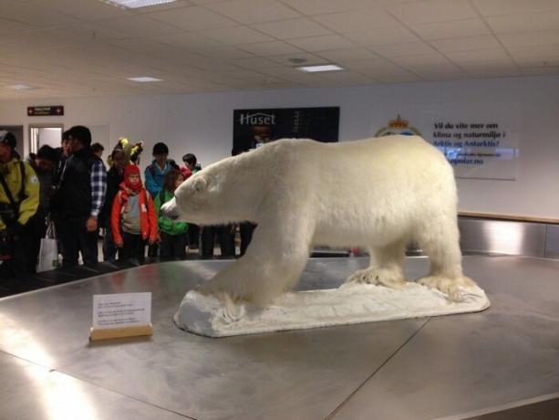 L'aeroporto soddisfa tutti il ​​simbolo viaggiante della città - l'orso polare.