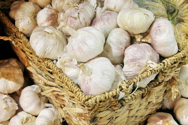 Come faccio a gestire per mantenere fresco l'aglio, fragrante e forte fino alla prossima estate