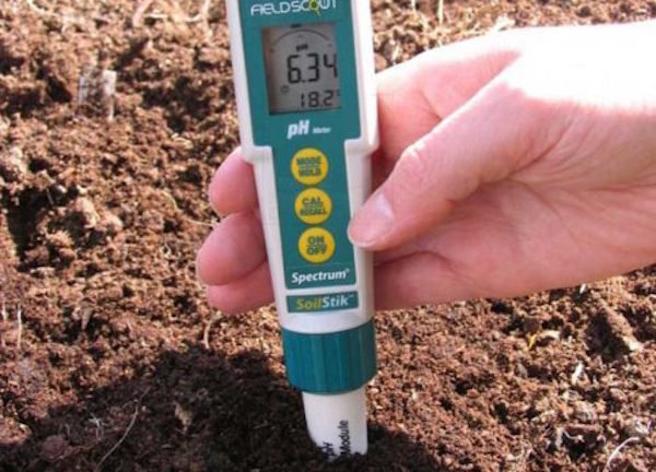 Come scoprire l'acidità del suolo a casa