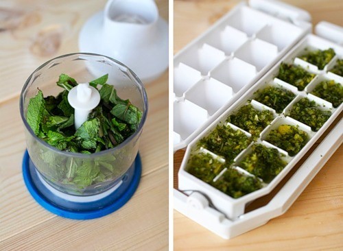 Quasi tutte le verdure possono essere conservate in vassoi per cubetti di ghiaccio (nella foto)