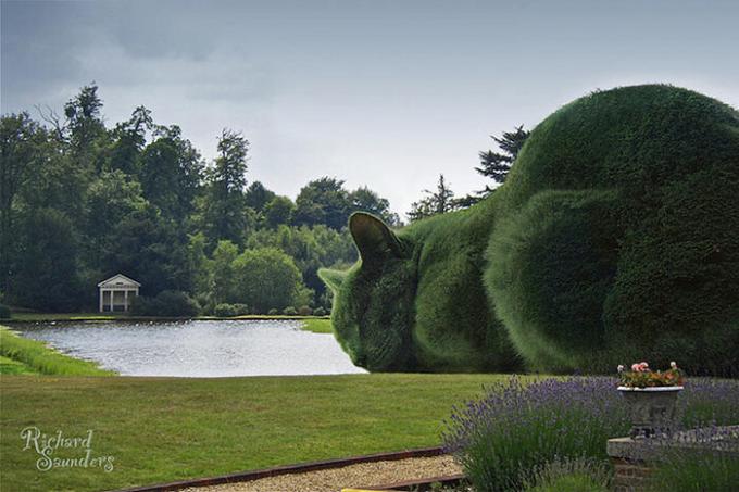 Topiary verde sotto forma di enormi gatti.