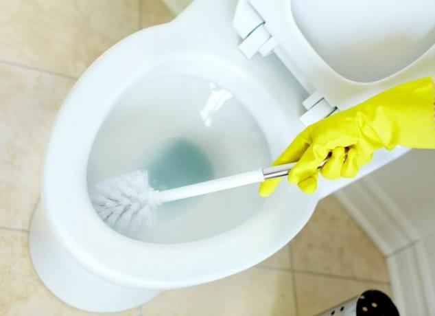 Come pulire la tua toilette con un cacciavite?