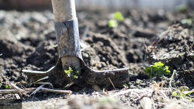 Perché non scavare un orto in autunno: 5 motivi
