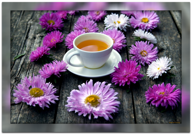 Utile per voi proprietà del tè di crisantemo e il motivo per cui è così popolare nei centenari cinesi