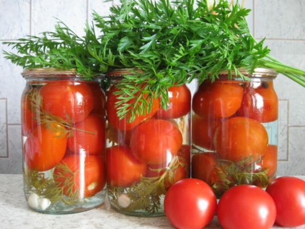 Pomodori in scatola con le parti superiori della carota hanno un sapore insolito. Illustrazione per un articolo è usato per una licenza standard © ofazende.ru