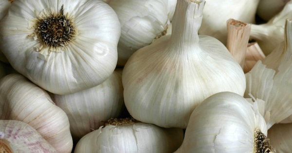 5 errori comuni quando l'aglio semina invernale