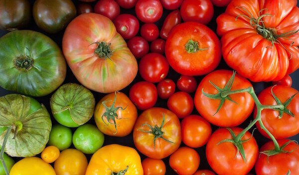 Il metodo originale per la coltivazione di pomodori nel pangrattato