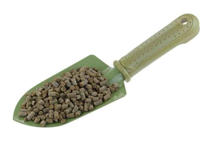 8 concimazione utile per i cetrioli raccolto buono