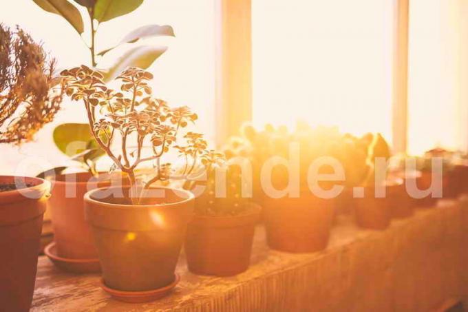 Cinque colori per il vostro balcone