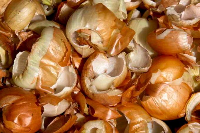 Buccia di cipolla per alimentare i cetrioli. Illustrazione per un articolo è usato per una licenza standard © ofazende.ru