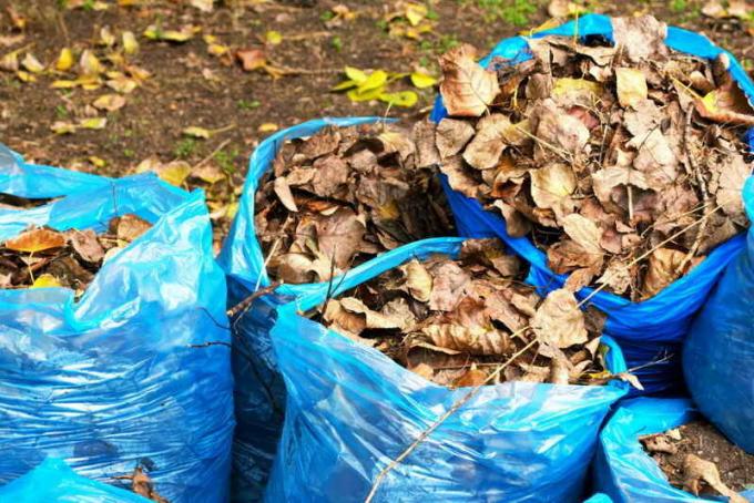 Compost in sacchetti di foglie cadute. Illustrazione per un articolo è usato per una licenza standard © ofazende.ru