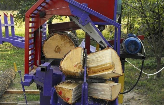 Come in Europa, la foresta viene tagliata e legna da ardere tritato: spettacolo, che valuterà ogni boscaiolo