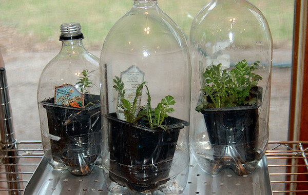 Visualizza: http://www.agfoundation.org/images/uploads/_660w/greenhouse_bottles.jpg