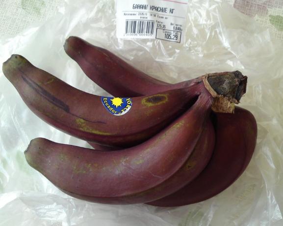 Sugli scaffali dei supermercati c'erano banane rosse: che hanno un sapore? Condivido le loro esperienze