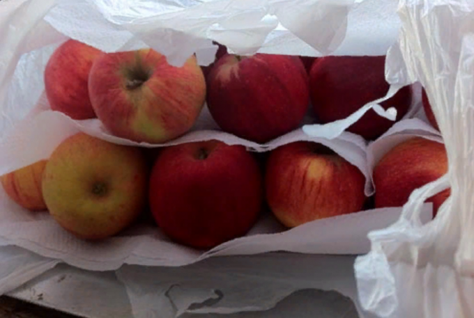 Come mantenere le mele fresco per l'inverno a casa