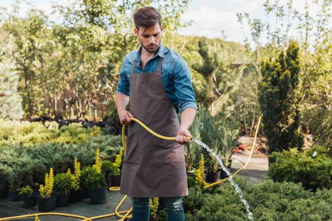 Preparazione di alberi da frutta per l'inverno