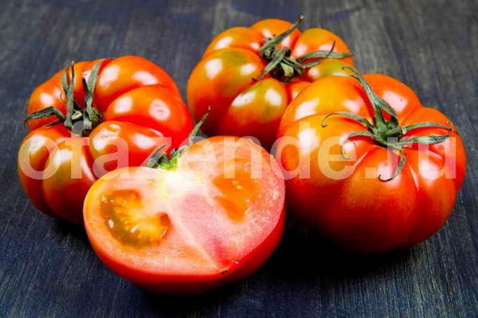 Come velocizzare la maturazione dei pomodori