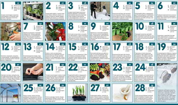 Calendario giardiniere