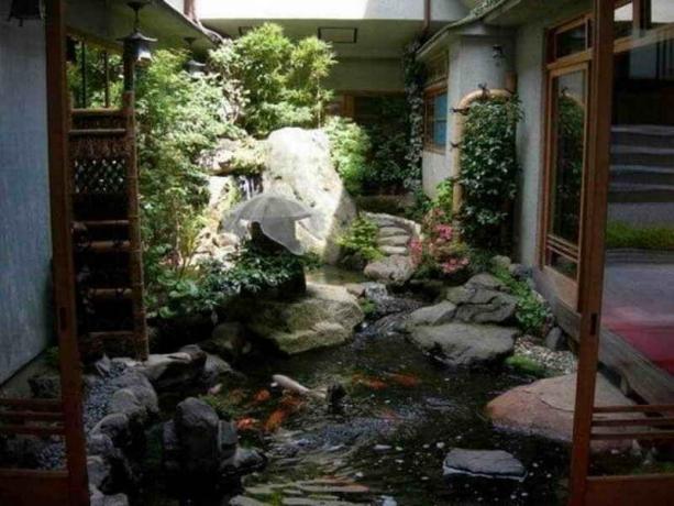 Un giardino d'acqua nel cortile: Consigli giardinieri