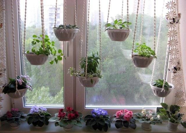 Decorazione della finestra originale con piante