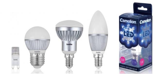 Figura 1. lampade a LED con diversi tipi di tappi