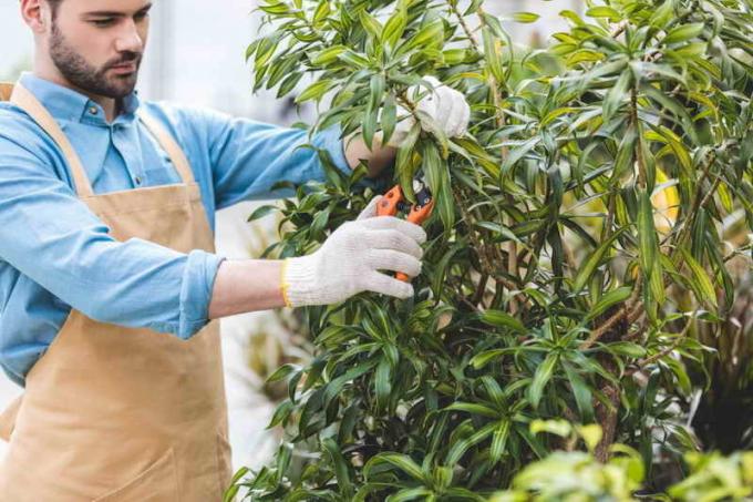 Il lavoro in giardino nel mese di settembre