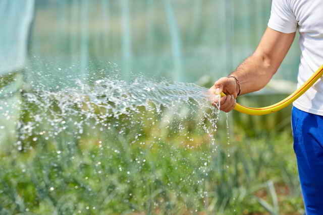 Non risparmiate l'acqua per l'irrigazione. Illustrazione per un articolo è usato per una licenza standard © ofazende.ru