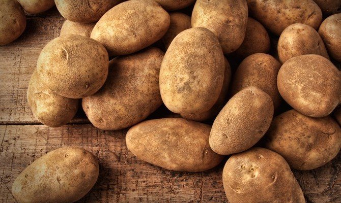 Come e quando è necessario scavare le patate, così lei conservato per tutto l'inverno