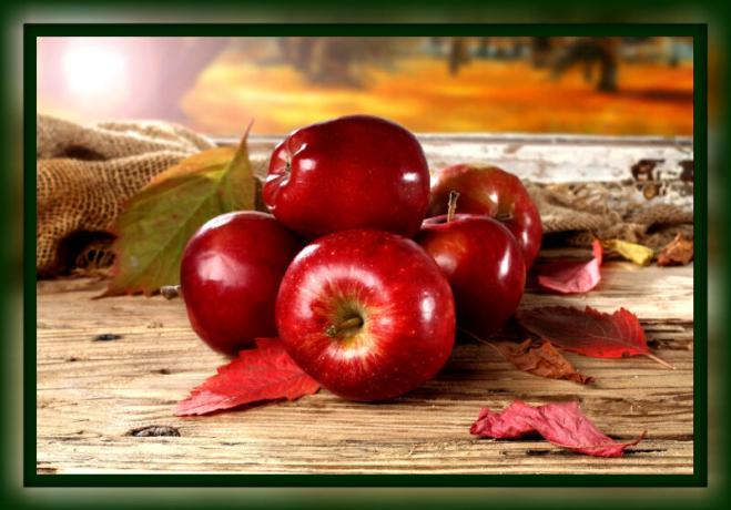 Come mantenere le mele fresco per l'inverno a casa