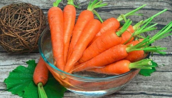 Preparare le carote per la conservazione. Illustrazione per un articolo usato open source