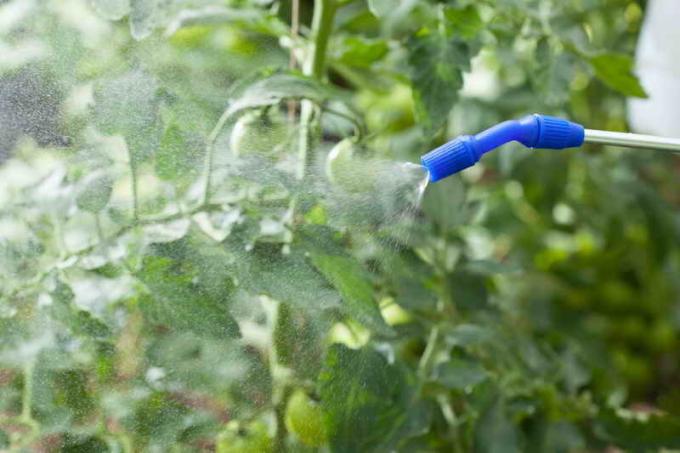 L'uso del solfato di rame nel giardino