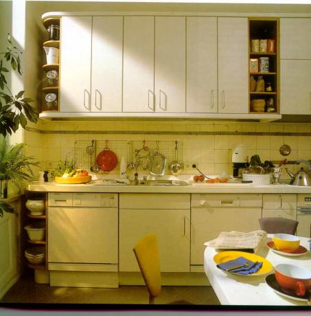 Disposizione della cucina: istruzioni video fai-da-te per l'installazione, idee di design per stanze 5,5, 6 mq, 8 9, 10 metri quadrati, prezzo, foto