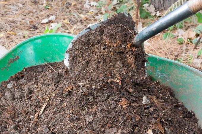 Fertilizzante Autunno presso il sito