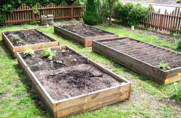 Come migliorare il terreno argilloso in giardino senza grandi investimenti finanziari. La mia esperienza