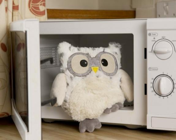 Per mantenere al caldo durante la stagione fredda o le ore di solitudine, hai solo bisogno di scaldarsi un giocattolo nel forno a microonde. / Foto: cdn11.bigcommerce.com
